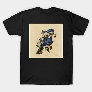 Blue Jays T-Shirt